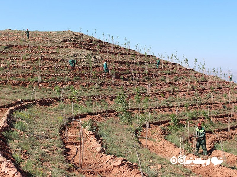 رشته کوه عون بن علی