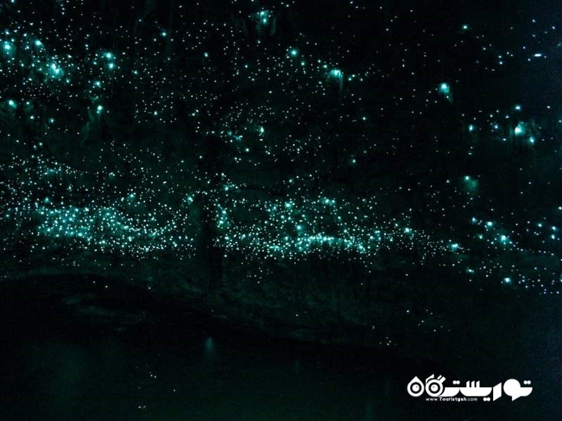 با قایق در غارهای کرم شب تاب وایتُومو گشتی بزنید