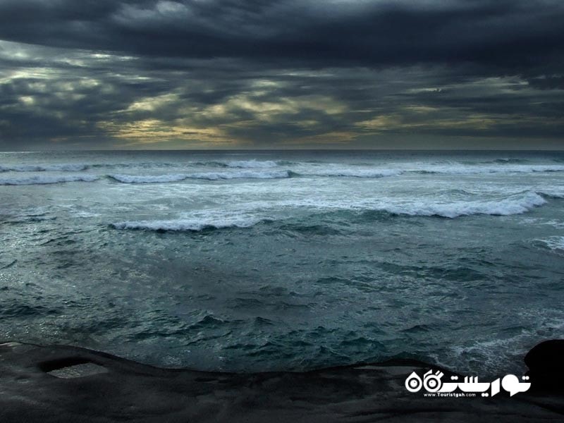 ساحل شن های سیاه میوریوای (Muriwai Black Sand Beach)