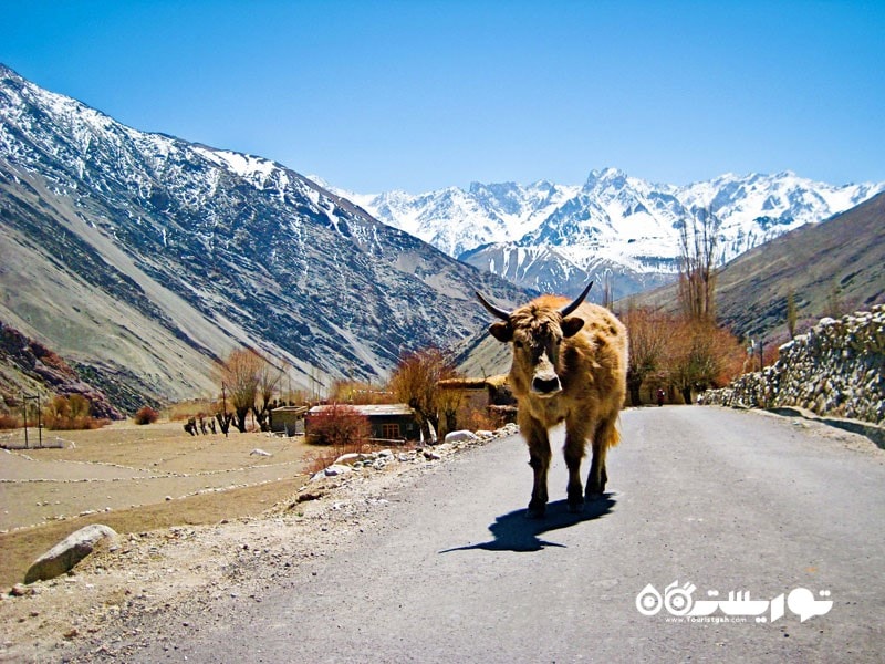 کشور هند در آسیا