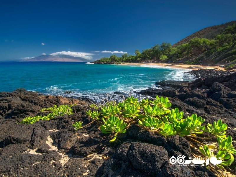 6. مسیر ساحل وایمیا (Waimea Beach Path) مائوئی، هاوایی