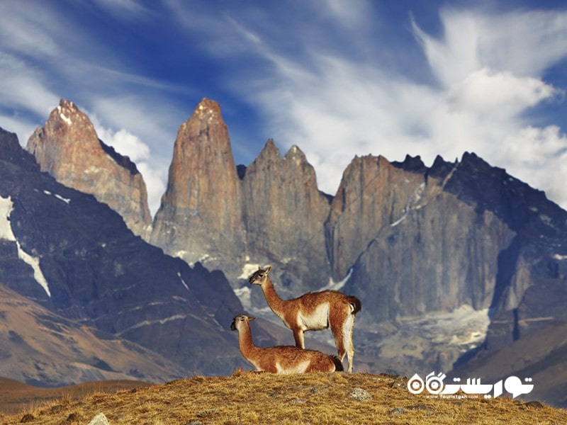 پارک ملی تورس دل پاین (Torres del Paine National Park)، شیلی