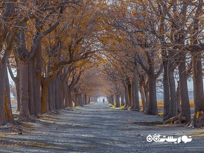 شهرستان شوکت آباد، بیرجند، استان خراسان جنوبی