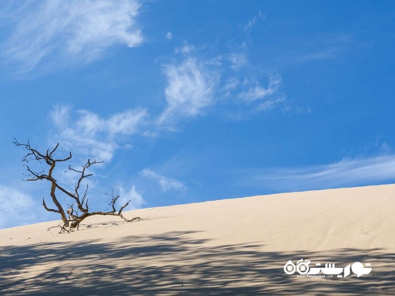 14. برکه ملی ایندیانا دونز (Indiana Dunes National Lakeshore)، ایندیانا