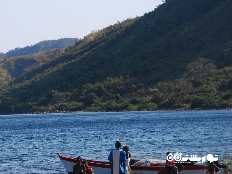 4- جنگل های ساحلی در شرق آفریقا (Coastal Forests of East Africa)