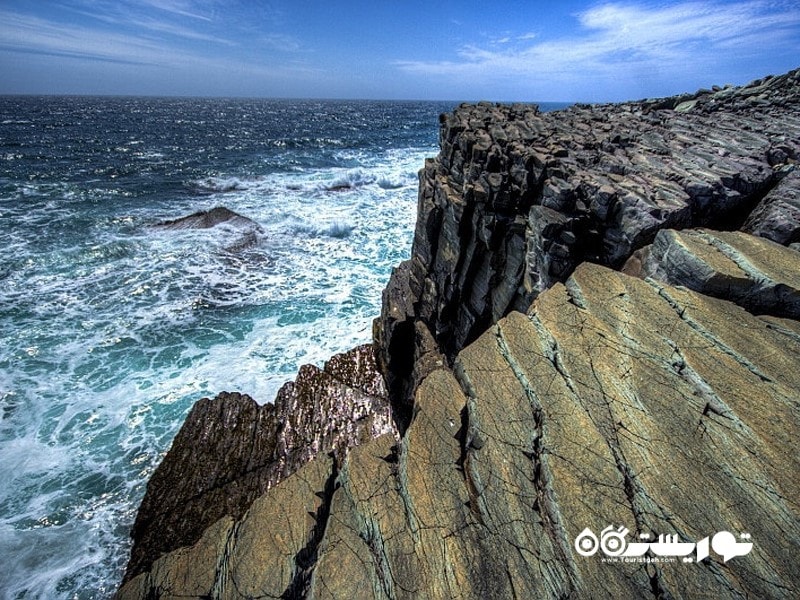 پرتگاه میستِیکِن پوینت (The Mistaken Point) 