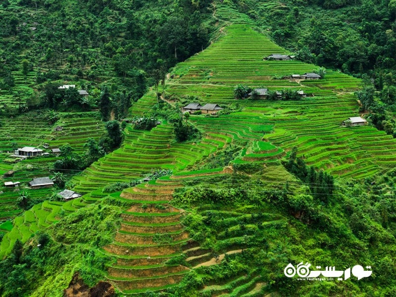 بالکن های طبیعی هوانگ سو فی (Hoàng Su Phì)