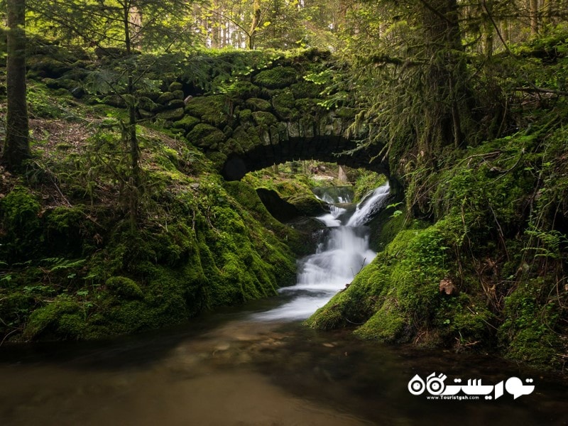 2- پارک ملی بَلِک فارِست (جنگل سیاه) (The Black Forest National Park)، آلمان