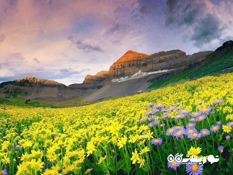 11.پارک ملی دره گل‌ ها (Valley of Flowers National Park) در کشور هندوستان