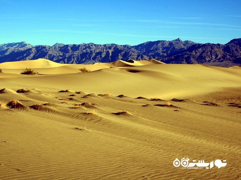 - پارک ایالتی تپه های شنی اتاباسکا (Athabasca Sand Dunes Provincial Park)  