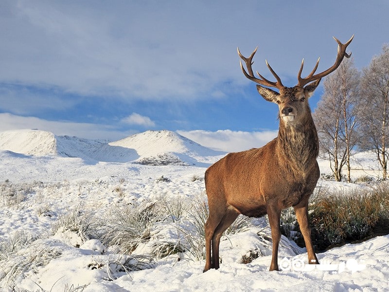 8. هایلندز (Highlands)، اسکاتلند