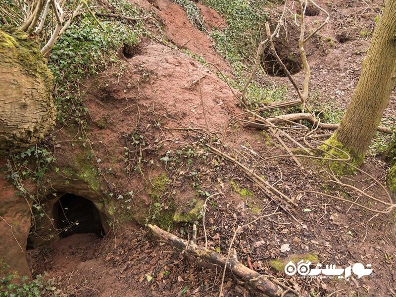 حفره های خرگوشی که به سمت شبکه غارهای 700 ساله مرموز  هدایت می شود