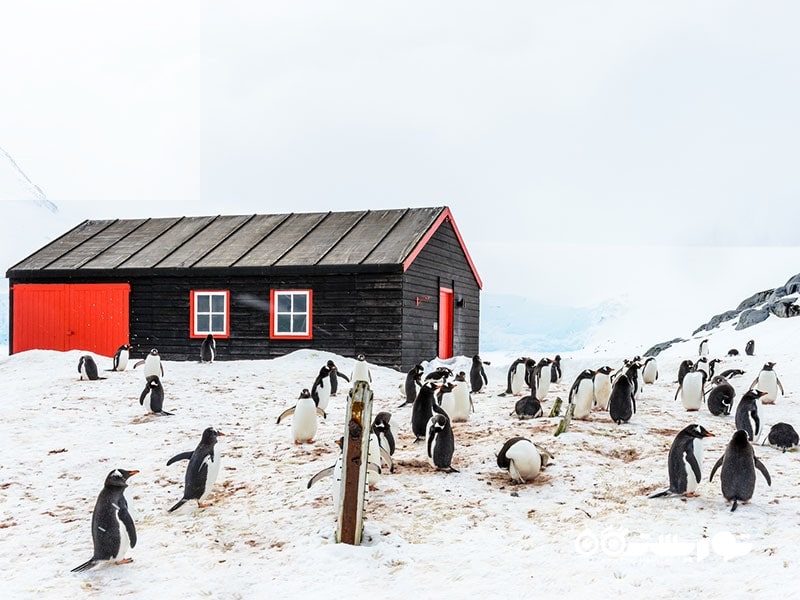 جالب ترین مکان های جهان که می توانید از آنجا یک نامه پست کنید
