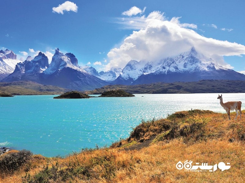 9- شیلی یکی از بهترین مقاصد برای سفر در سال 2018 