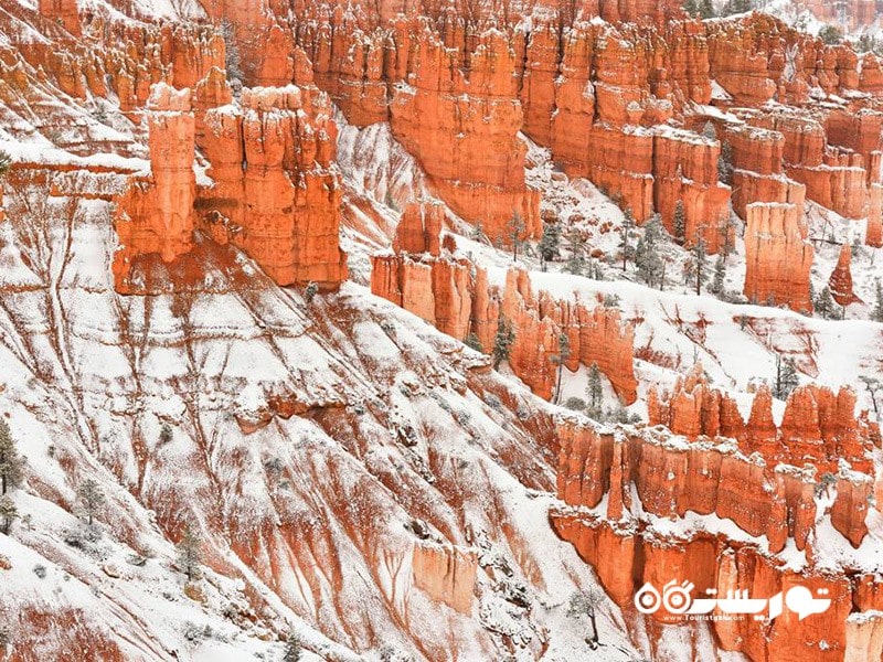 پارک ملی برایس کنیون (Bryce Canyon National Park)، یوتا