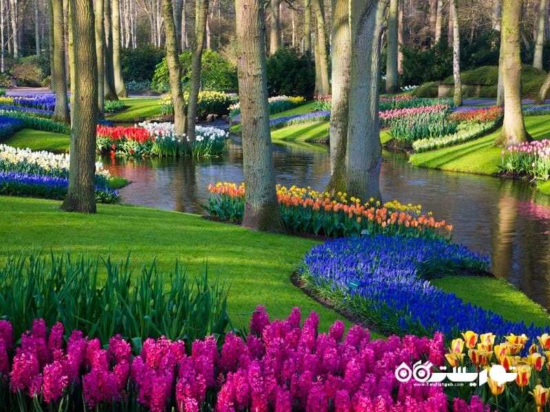 چرا در بهار به آمستردام سفر کنیم؟