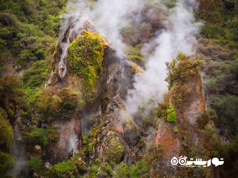 پرسه زدن در اطراف دره آتشفشانی وایمانگو (Waimangu Volcanic Valley)