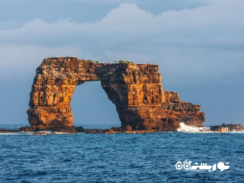 طاق داروین (Darwin’s Arch)، جزیره داروین، گالاپاگوس، اکوادور