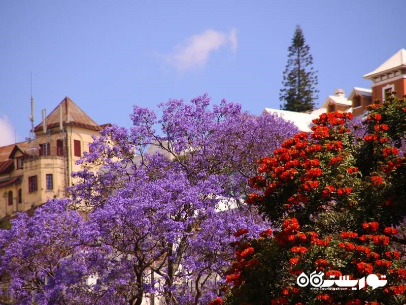 شهر آنتاناناریو (Antananarivo)