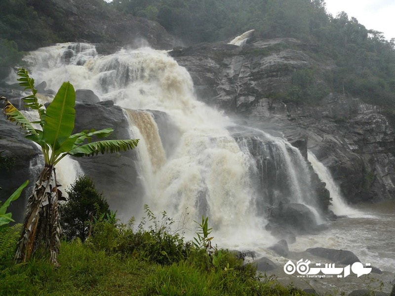 3- پارک ملی رانومافانا (Ranomafana National Park) 