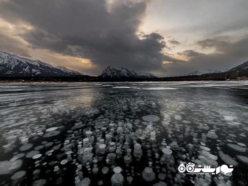 راهنمای سفر برای عکاسی از حباب های یخ زده در دریاچه آبراهام