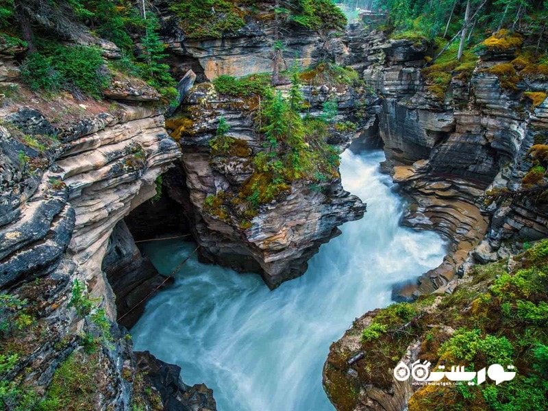 پارک ملی جَسپِر، آلبرتا، کانادا (JASPER NATIONAL PARK, ALBERTA, CANADA)