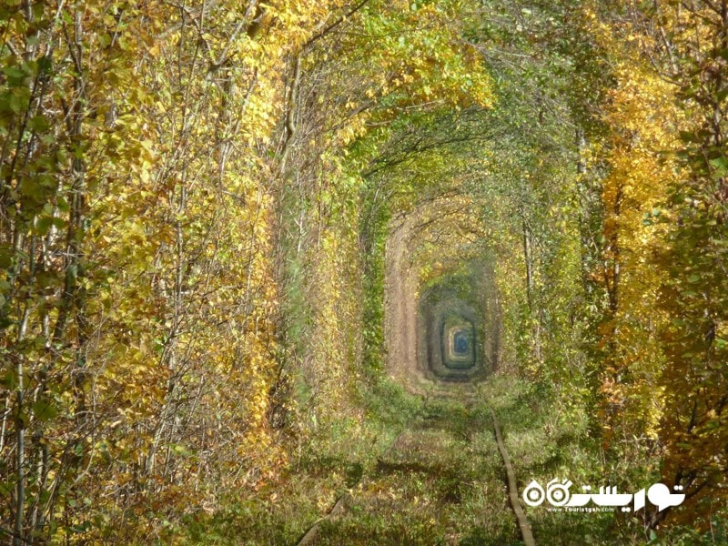 تونل عاشقانه (The Tunnel Of Love)
