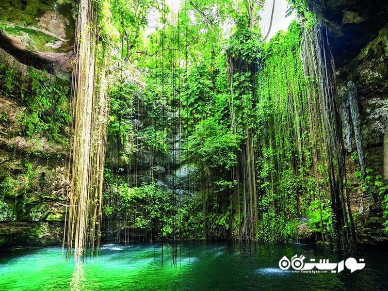 سنوت مقدس (Sacred Cenote)، ایک کیل (Ik-Kil)، مکزیک