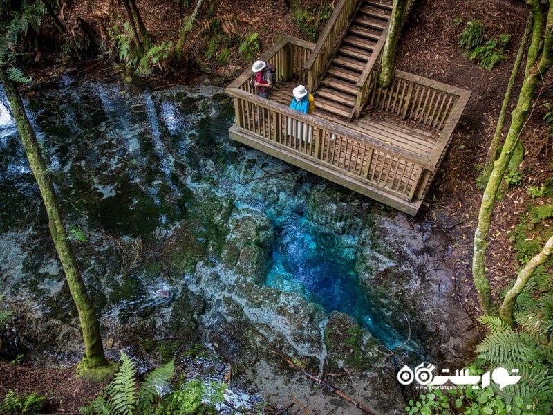 آماده باشید تا محو تماشای هامورانا اسپرینگز (Hamurana Springs) شوید