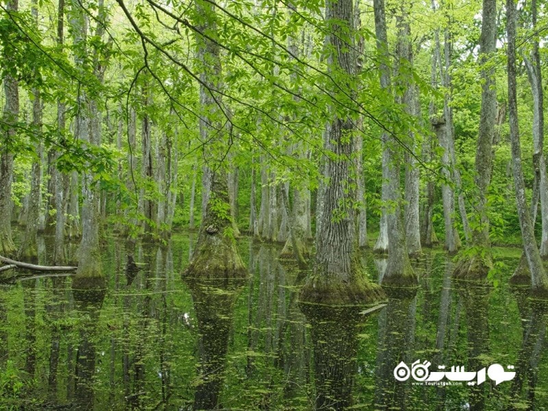 24. پارک وی ناچز تریس (Natchez Trace Parkway)، میسیسیپی 