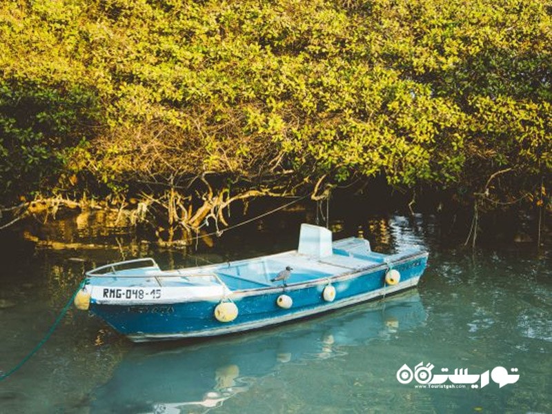 8. پارک ملی گالاپوس (Galapagos National Park)، اکوادور