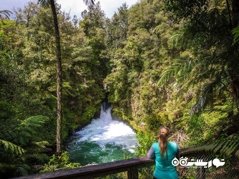 به تماشای آبشار واقع در رود کایتونا (Kaituna River)  بروید 