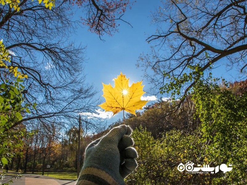 برگ های پاییزی، کشور کانادا