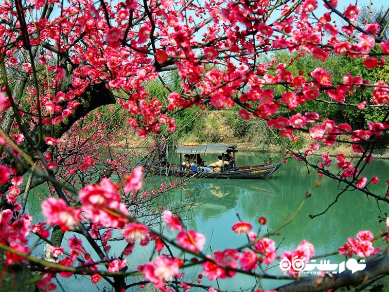 چرا در بهار از پکن بازدید کنیم