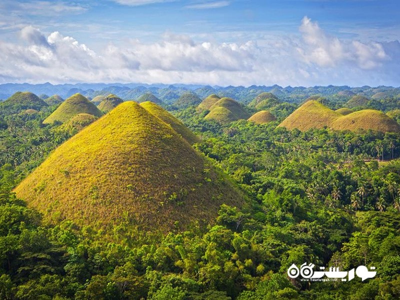 30. تپه های شکلاتی (Chocolate Hills)، بوهول، فیلیپین