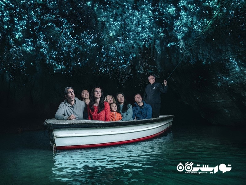 15.غارهای کرم شب تاب وایتومو (Waitomo Glowworm Caves) 