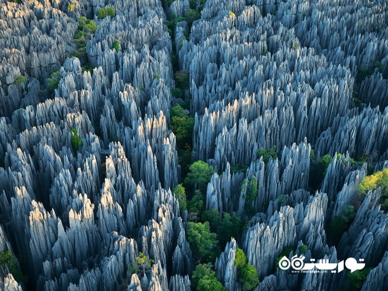 8- سینگی دی بیماراها (Tsingy de Bemaraha)