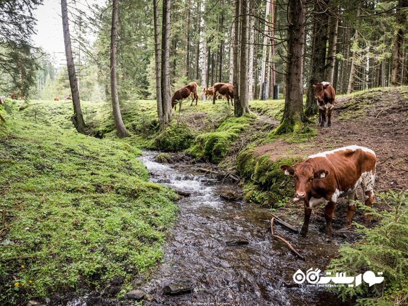 3- پارک ملی هوهه تاوان (Hohe Tauern National Park)، اتریش