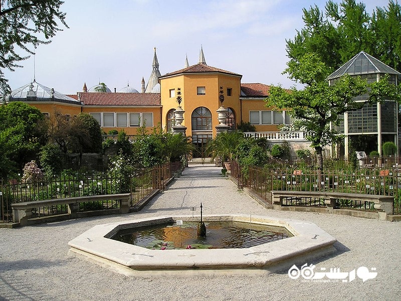 2. باغ گیاه شناسی پادوا
