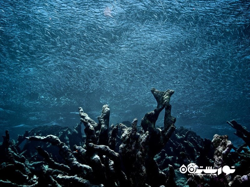 6. پارک ملی لوس روگِس (Los Roques National Park)، ونزوئلا