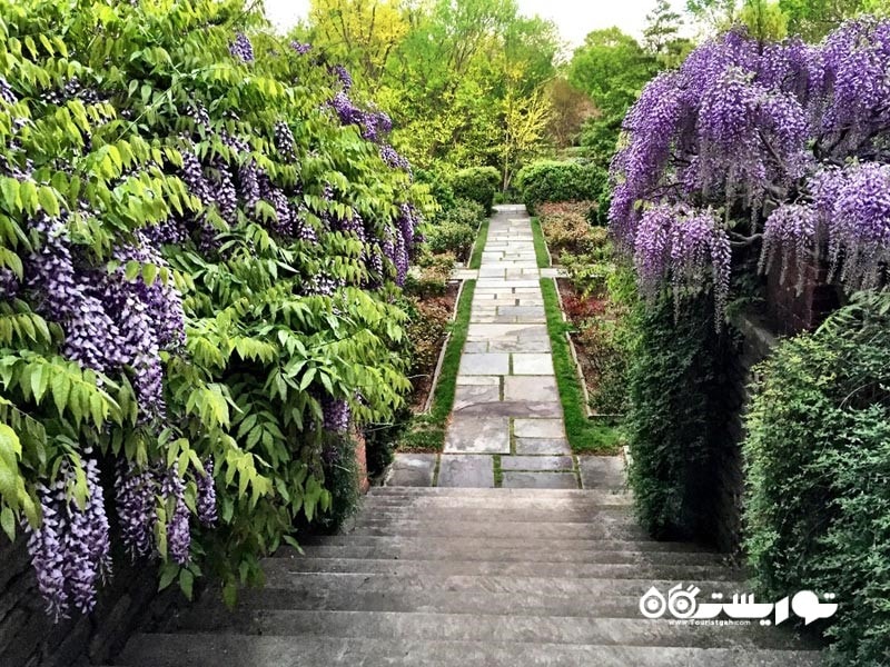 دومبارتون اُوکس (Dumbarton Oaks)