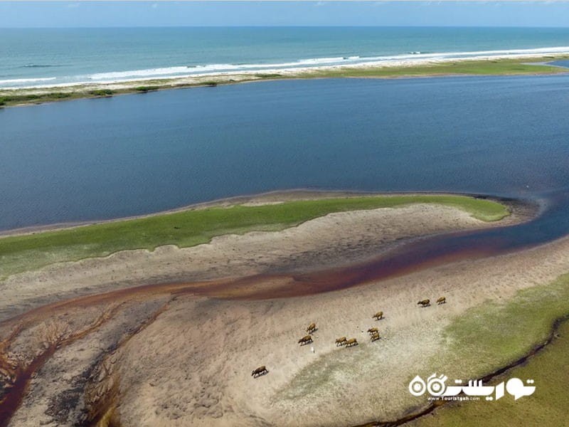 گابن یکی از بهترین مقاصد گردشگری در سال ۲۰۲۶