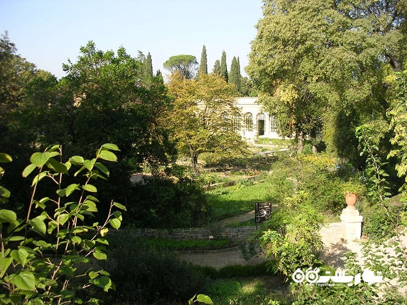 8. باغ گیاه مونپلیه