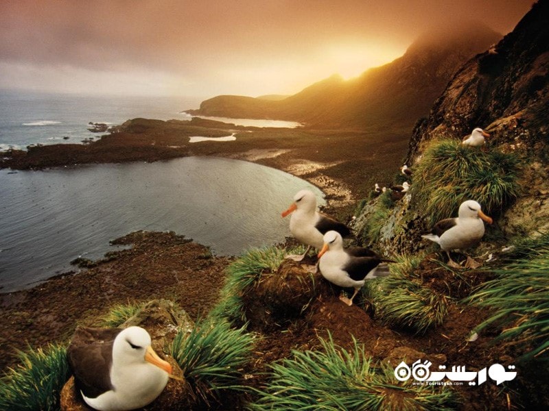 دریای وِدِل، قطب جنوب (WEDDELL SEA, ANTARCTICA)