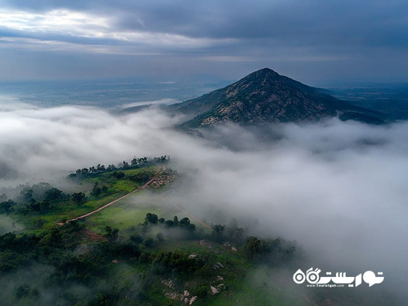 ۶. تپه های ناندی یکی از مقاصد برتر جهان که مه در آنها «جادوی ناب» می آفریند
