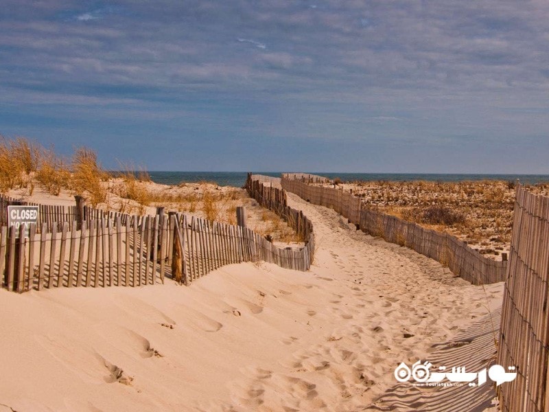 8. پارک ملی کیپ هنلوپن (Cape Henlopen State Park)، دلاویر (Delaware)