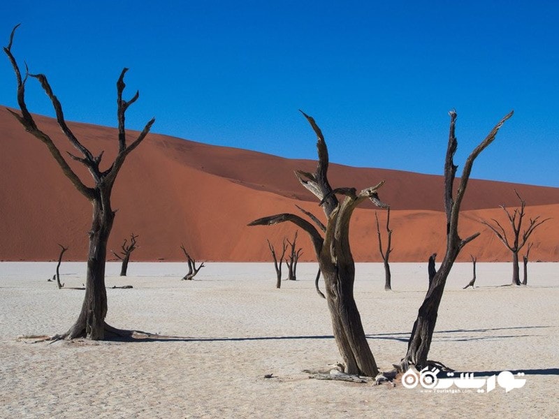 18- دِدوِلی (Deadvlei) 