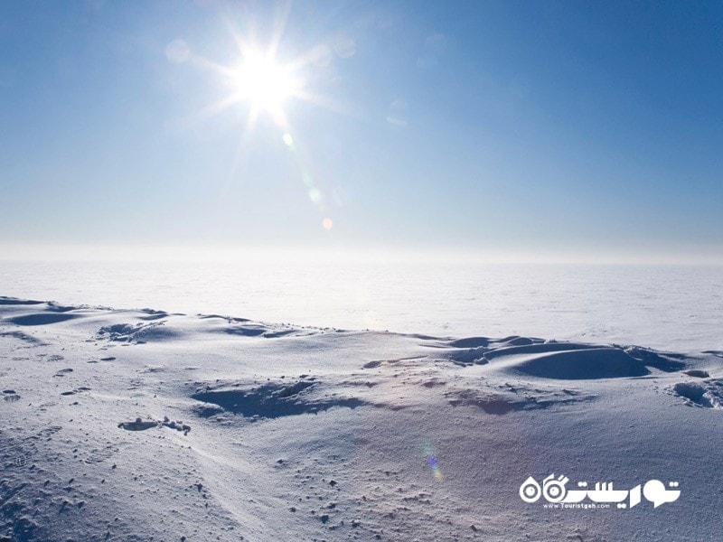 7- بیابان قطبی شمالگان (Arctic polar desert)