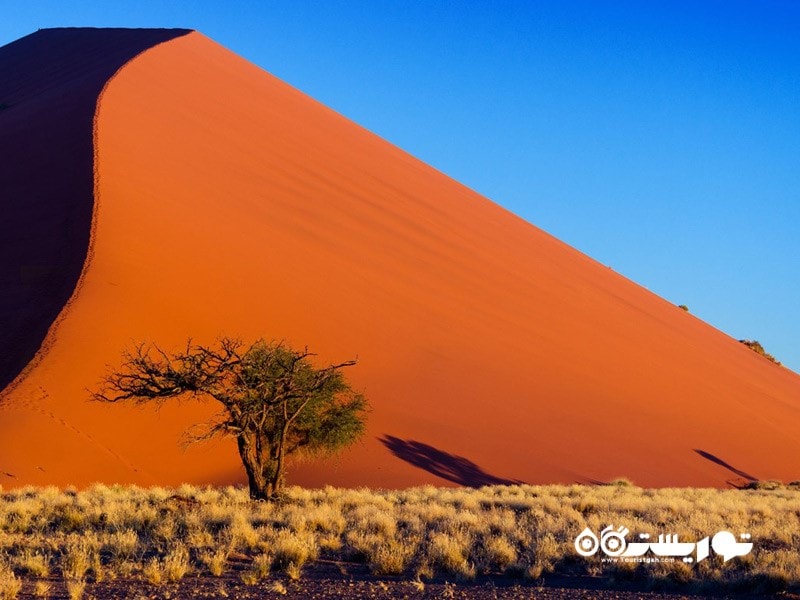 1- بیابان نامیب (Namib Desert)، نامبیا 