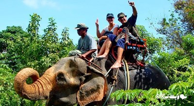 سرگرمی فیل سواری در جنگل شهر تایلند کشور پوکت